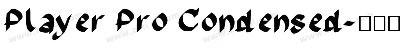 Player Pro Condensed字体转换